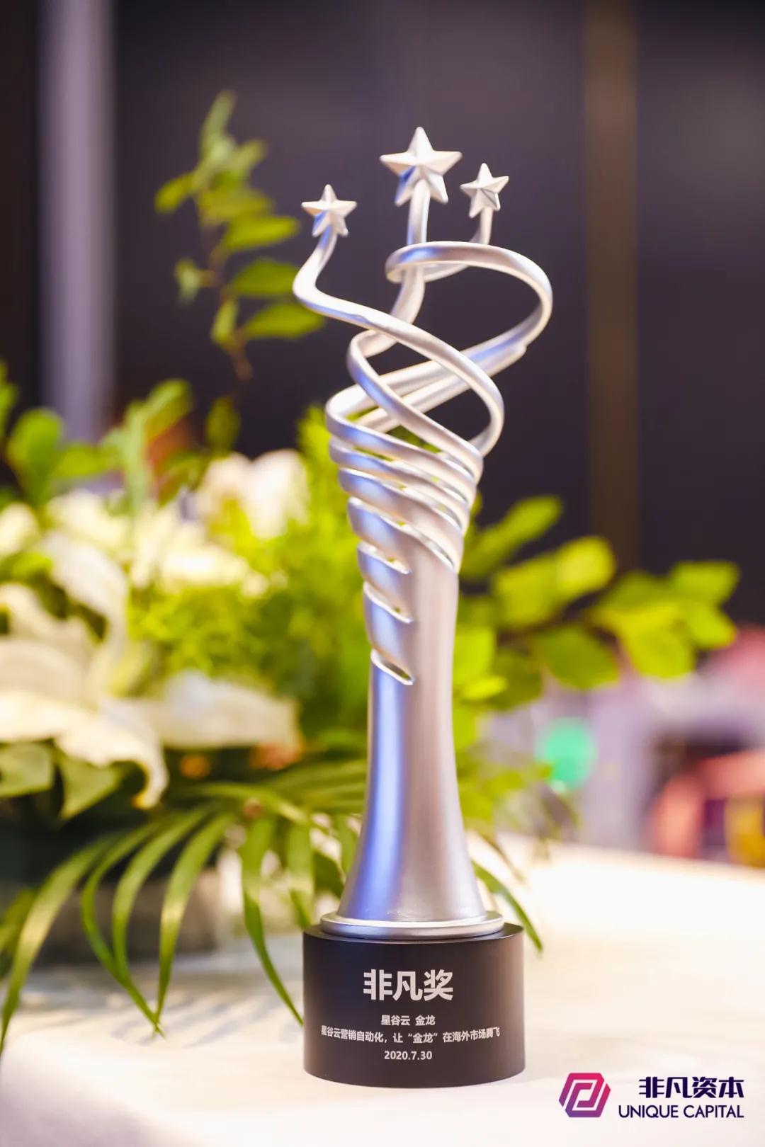 榜單揭曉！星谷云斬獲2020非凡大賞外貿(mào)營(yíng)銷優(yōu)選案例